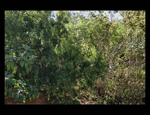 LAND FOR SALE IN GLENVISTA